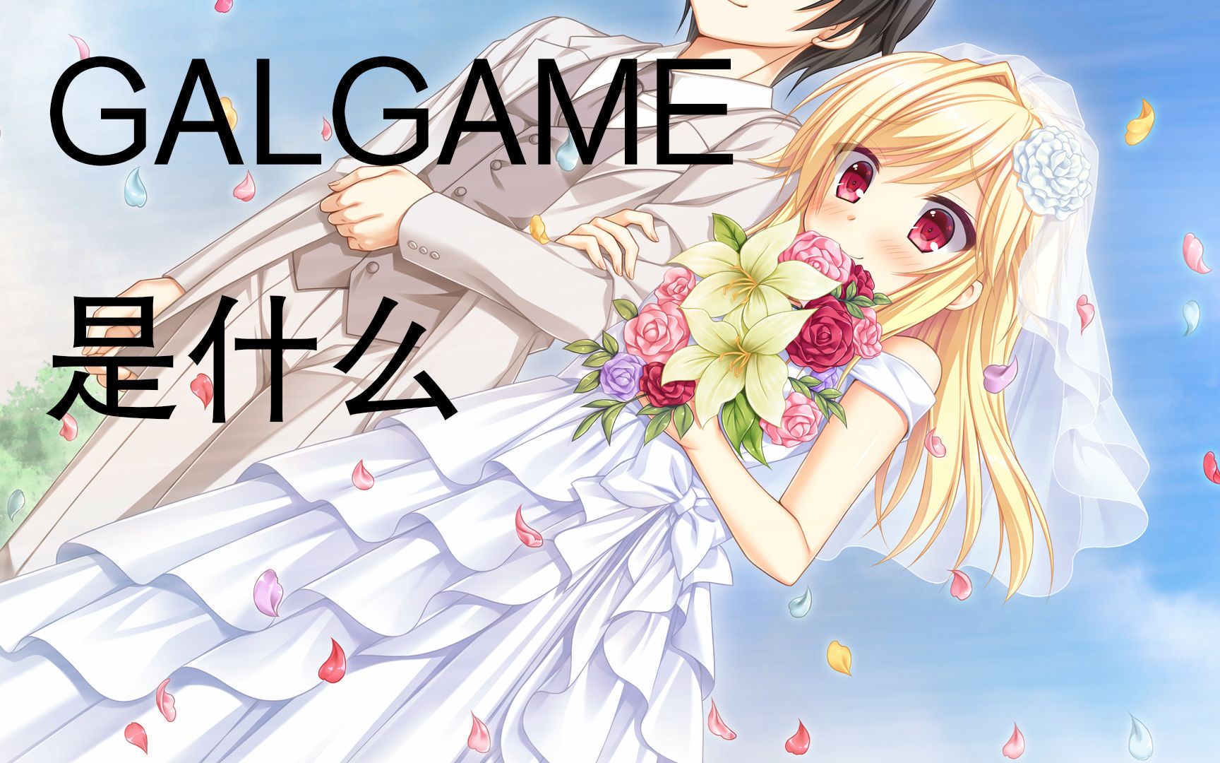 【GAL科普】(新人必看)GALGAME是什么哔哩哔哩bilibili