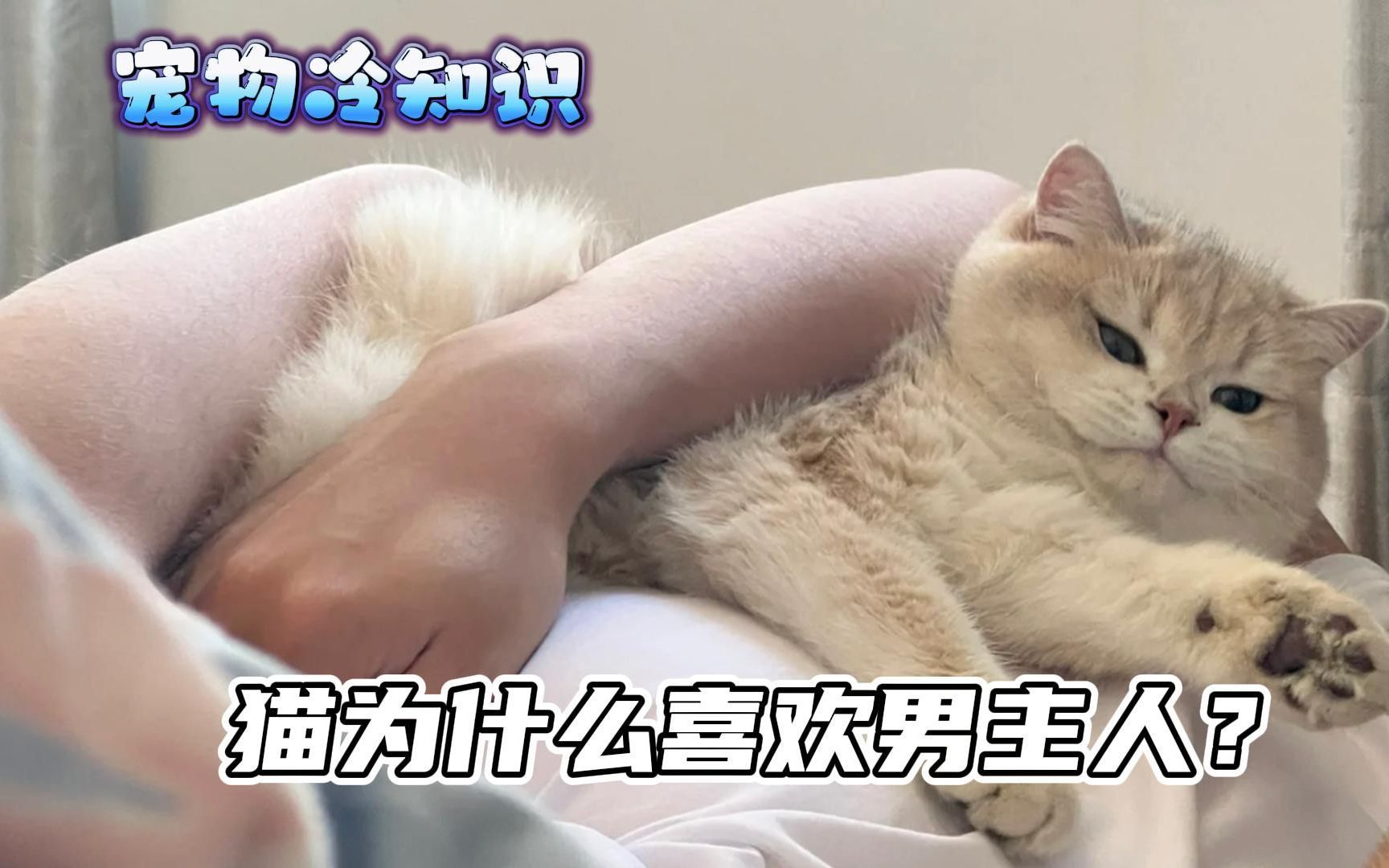 [图]猫咪为什么更喜欢男主人？