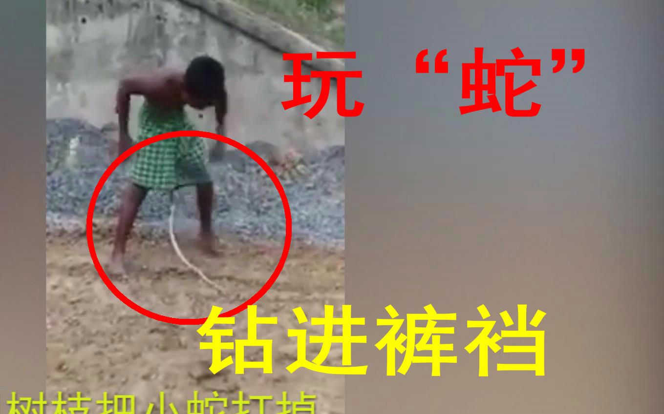印度小孩玩蛇差点被钻进裤裆最后赤果而逃