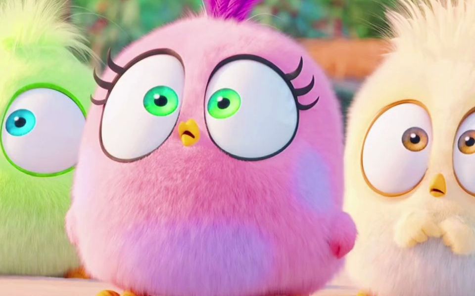 【愤怒的小鸟】谁能送我这么可爱的三只鸡崽子啊