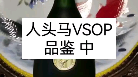 人头马VSOP品鉴中集哔哩哔哩bilibili