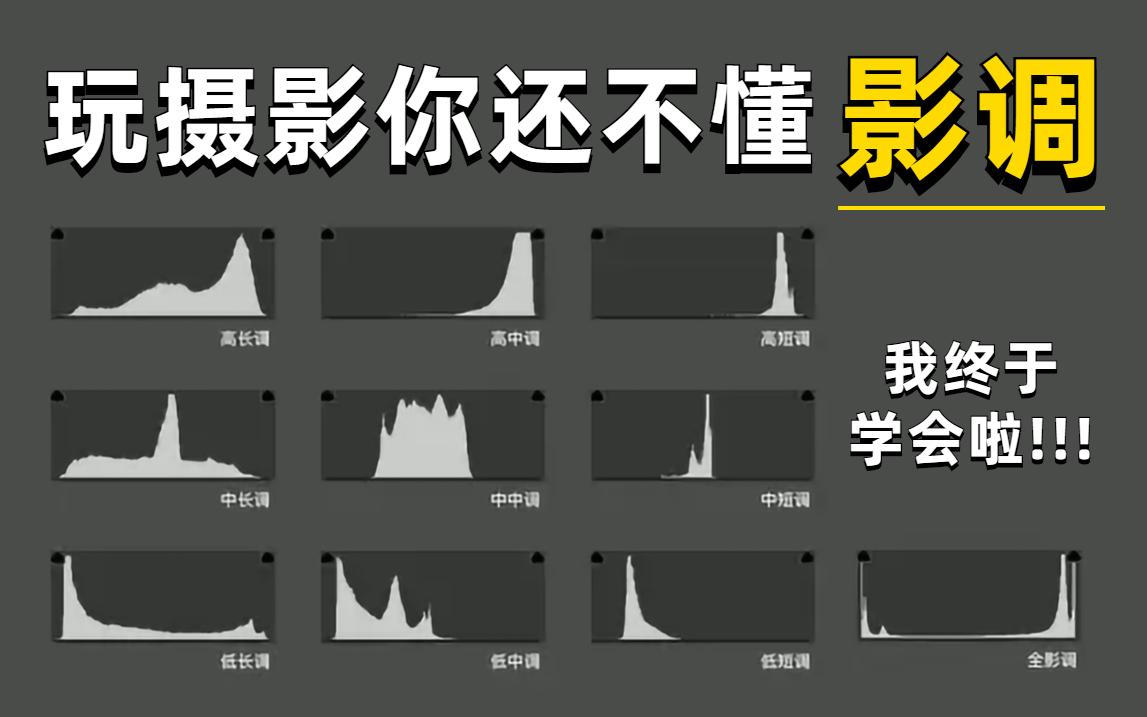 【摄影进阶知识】什么是影调?8节保姆教程一次讲清10大影调!!!哔哩哔哩bilibili