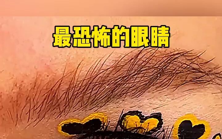 最恐怖的眼睛哔哩哔哩bilibili