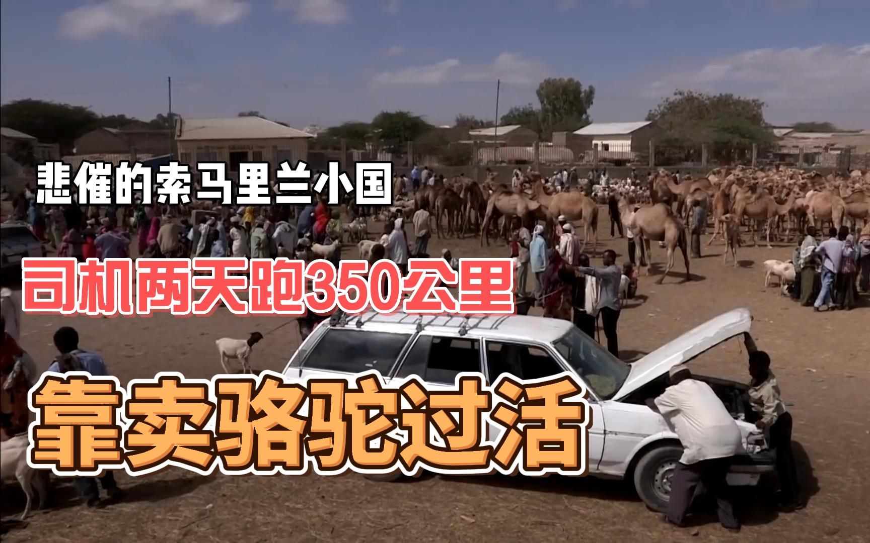 纪录片悲催的索马里兰小国司机两天跑350公里靠卖骆驼过活