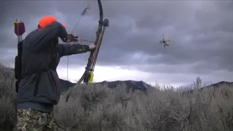 Скачать видео: 几个小哥去射野鸡风景迷人