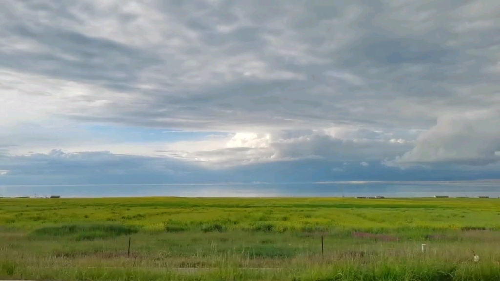 《美丽的草原我的家》