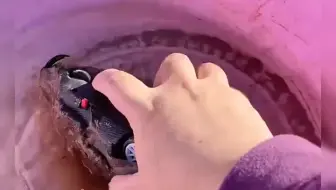 大鳄鱼