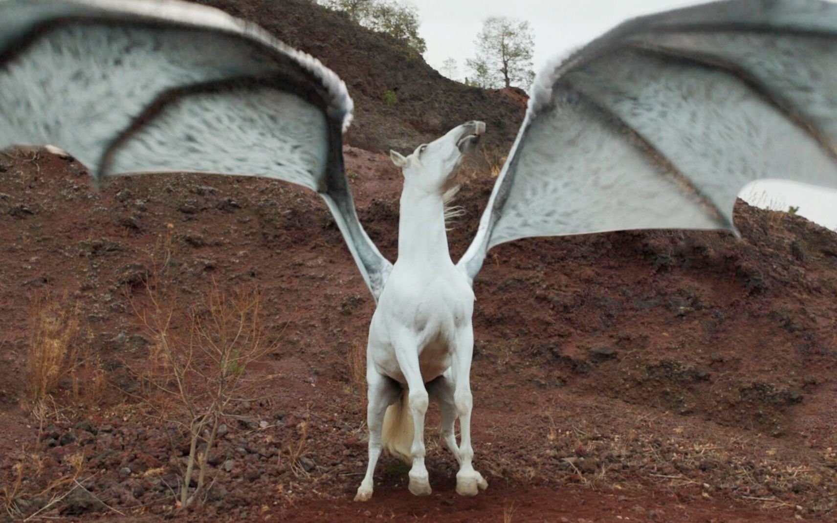 白马只要一发怒,就会长出一对大翅膀,化作龙女守护人类