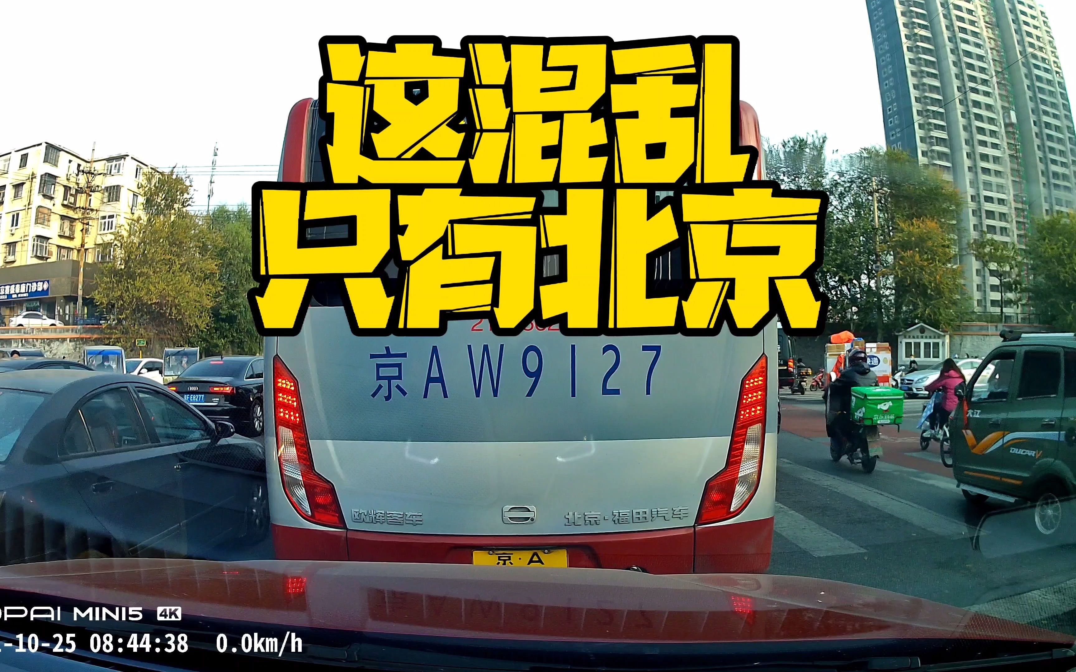 这是我见过最混乱的道路交通,没有之一哔哩哔哩bilibili