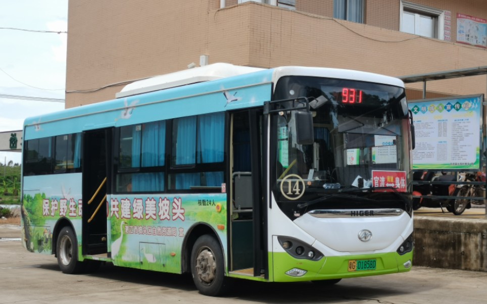 【城区公交】湛江公交931路(大垌村委会-东城西路西)全程前方展望