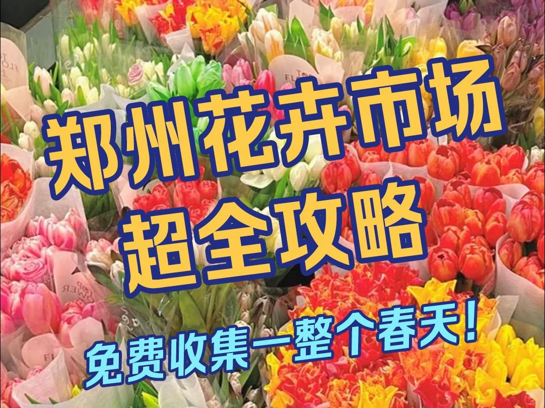 郑州花卉市场攻略 免费收集一整个春天!哔哩哔哩bilibili