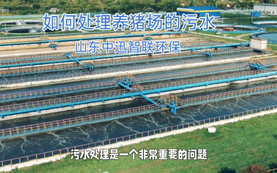 如何处理养猪污水#养猪场污水处理设备#养猪场污水处理设备厂家#养猪