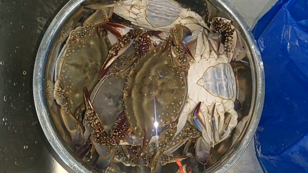 大连海鲜又肥又大的飞蟹!美味啊!