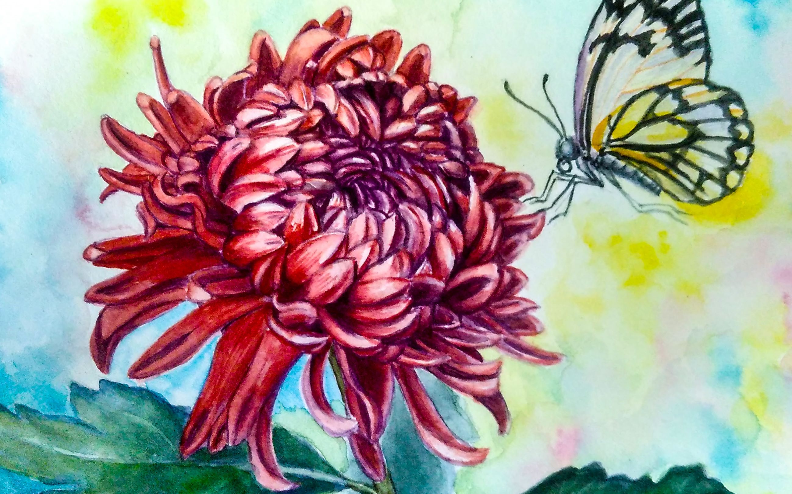 【花卉水彩】九月繁蕊菊花痴