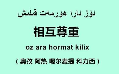 “爱国爱疆”用维吾尔语怎么说,你学会了吗?哔哩哔哩bilibili