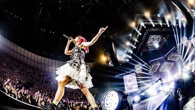 Gifu Villager】LiSA「LiVE is Smile Always～364+JOKER～」【BD