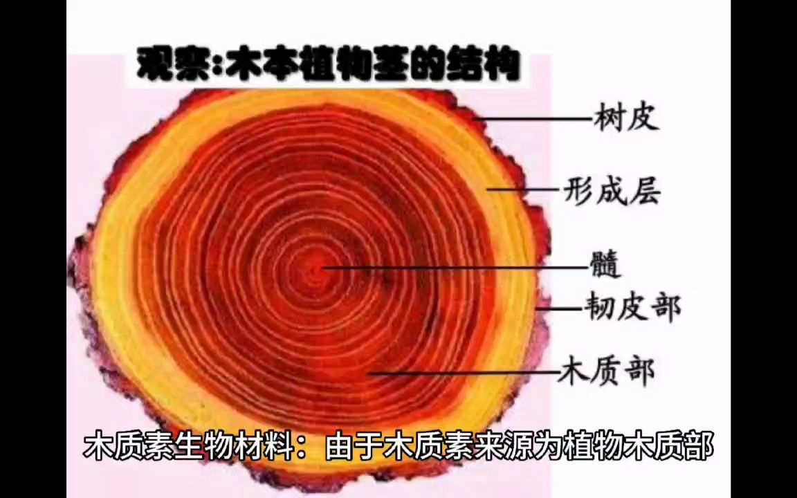 木质素生物材料哔哩哔哩bilibili