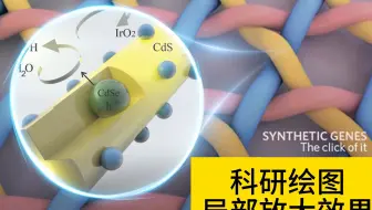 ps科研绘图之局部放大效果