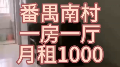 广州租房番禺南村一房一厅,位于西塘基街附近,家私齐全,拎包入住哔哩哔哩bilibili