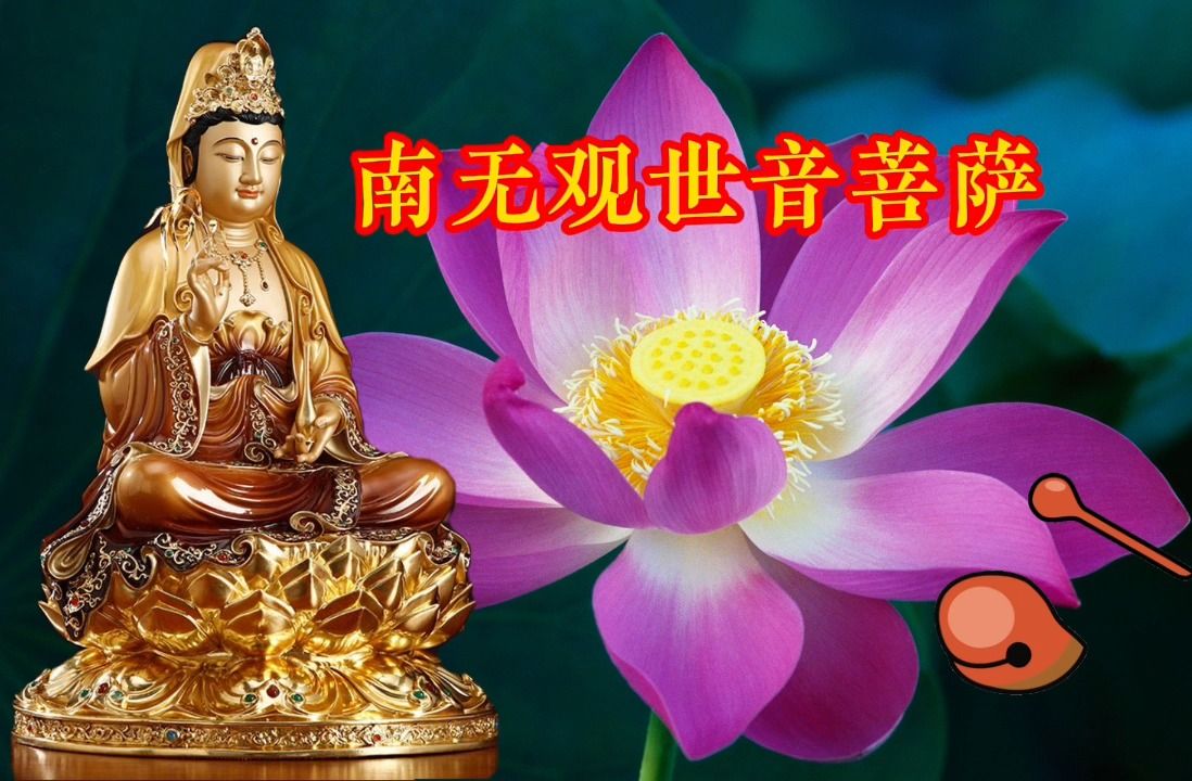 晨念開始每天虔誠唸誦千遍《南無觀世音菩薩》為你祈福:健康平安