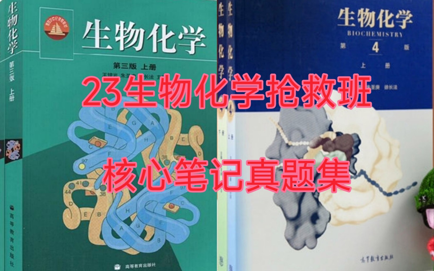 [图]23生物化学核心考点梳理/笔记/真题集讲解