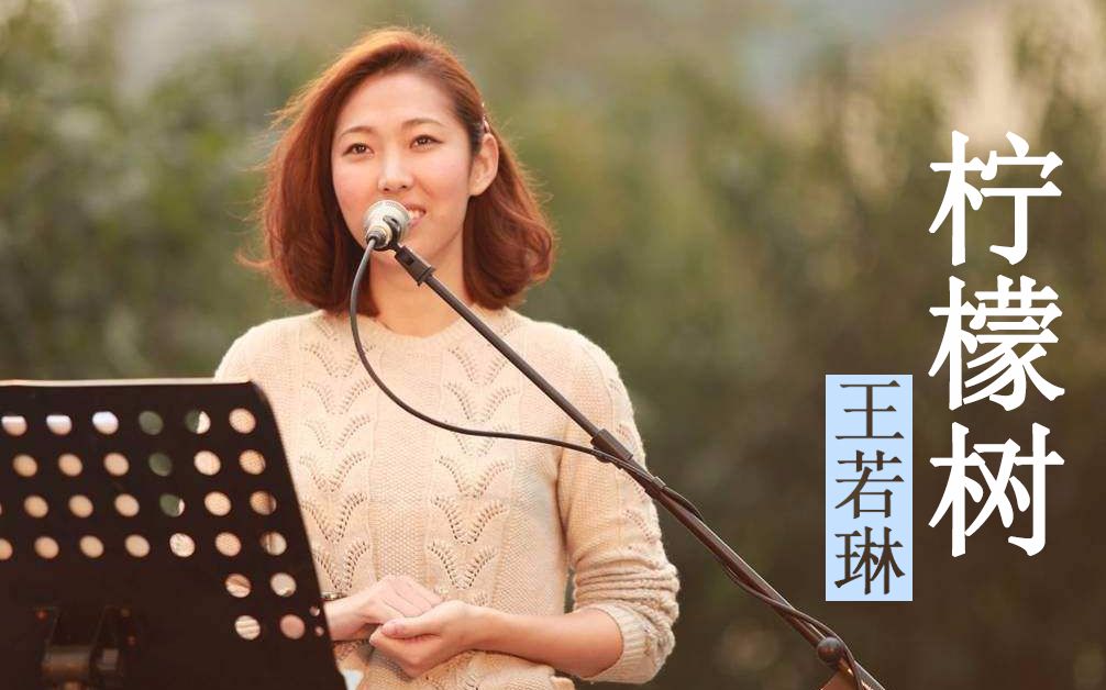 008柠檬树王若琳从容吉他教室