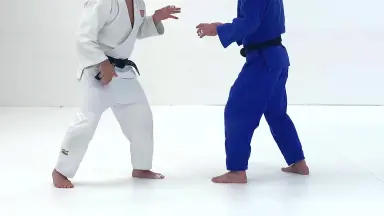 Judo Idiots-哔哩哔哩_Bilibili