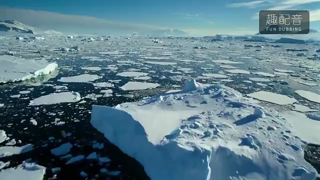 [图]【配音·我们的星球】海冰下的世界