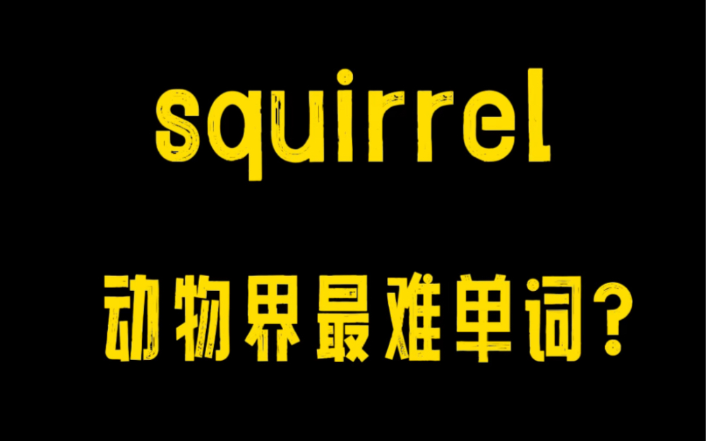 挑战一下“松鼠”这个词,看看有多难吧~哔哩哔哩bilibili