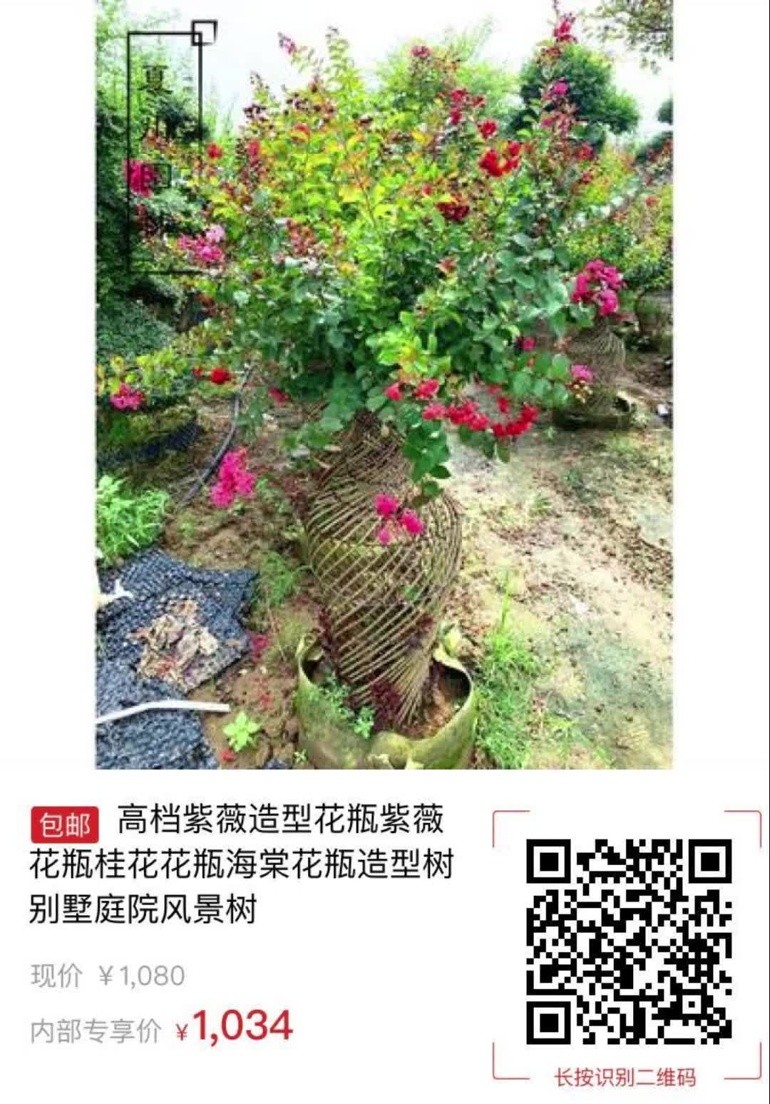 【46元券】高档紫薇造型花瓶紫薇花瓶桂花花瓶海棠花瓶造型树别墅庭院
