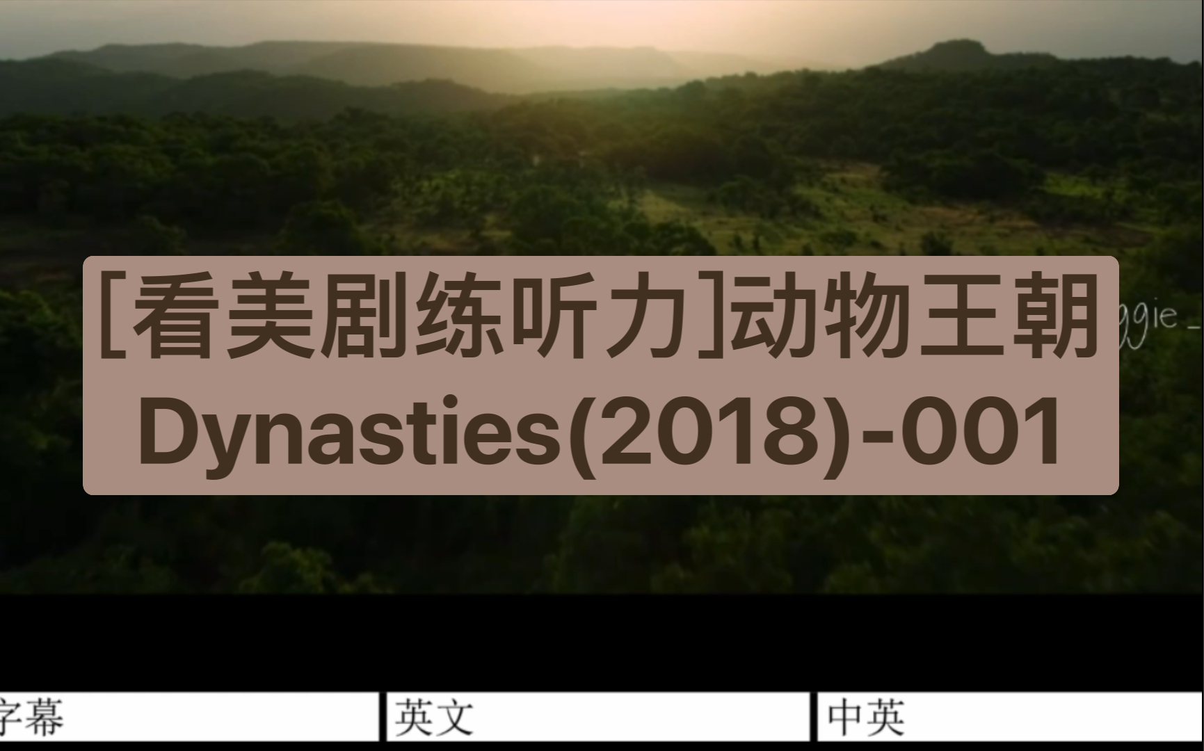 [图][看美剧练听力]动物王朝Dynasties(2018)-001