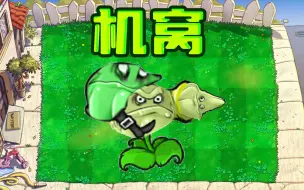 Download Video: 新植物：机窝