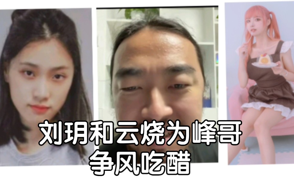 刘玥和一只云烧为峰哥争风吃醋_哔哩哔哩_bilibili