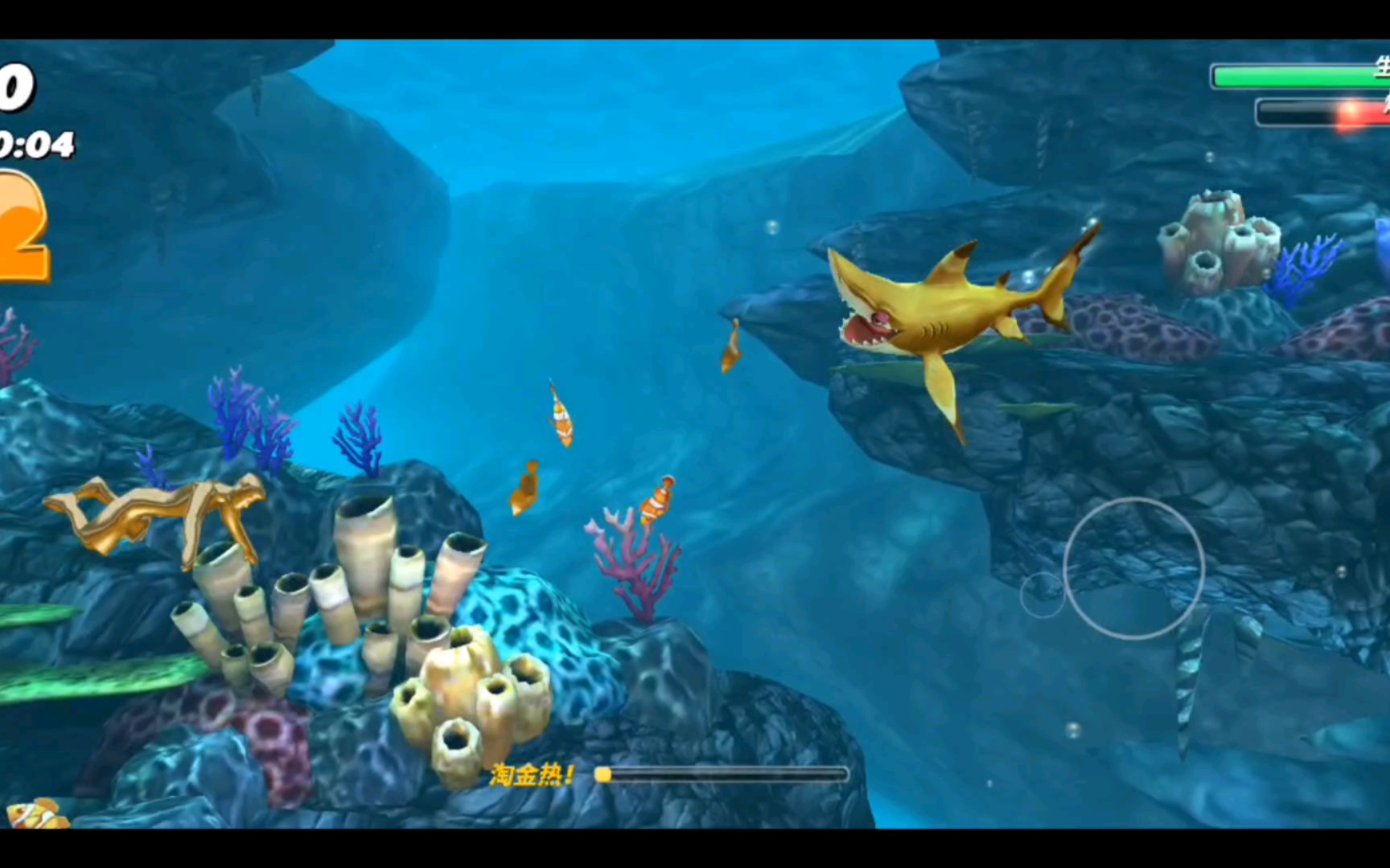 灵活的小鲨鱼,利给奥利给