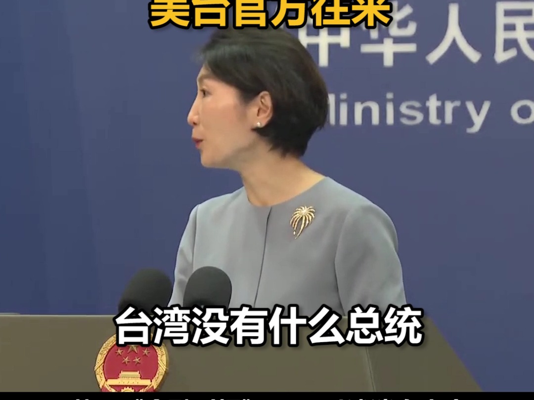 外交部驳斥:台湾没有什么总统,中方坚决反对任何形式的美台官方往来哔哩哔哩bilibili