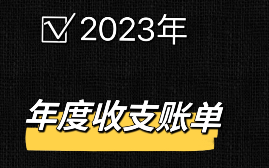 30+夫妻靠300万提前退休|年度收支账单来咯!钱到底够不够花?哔哩哔哩bilibili