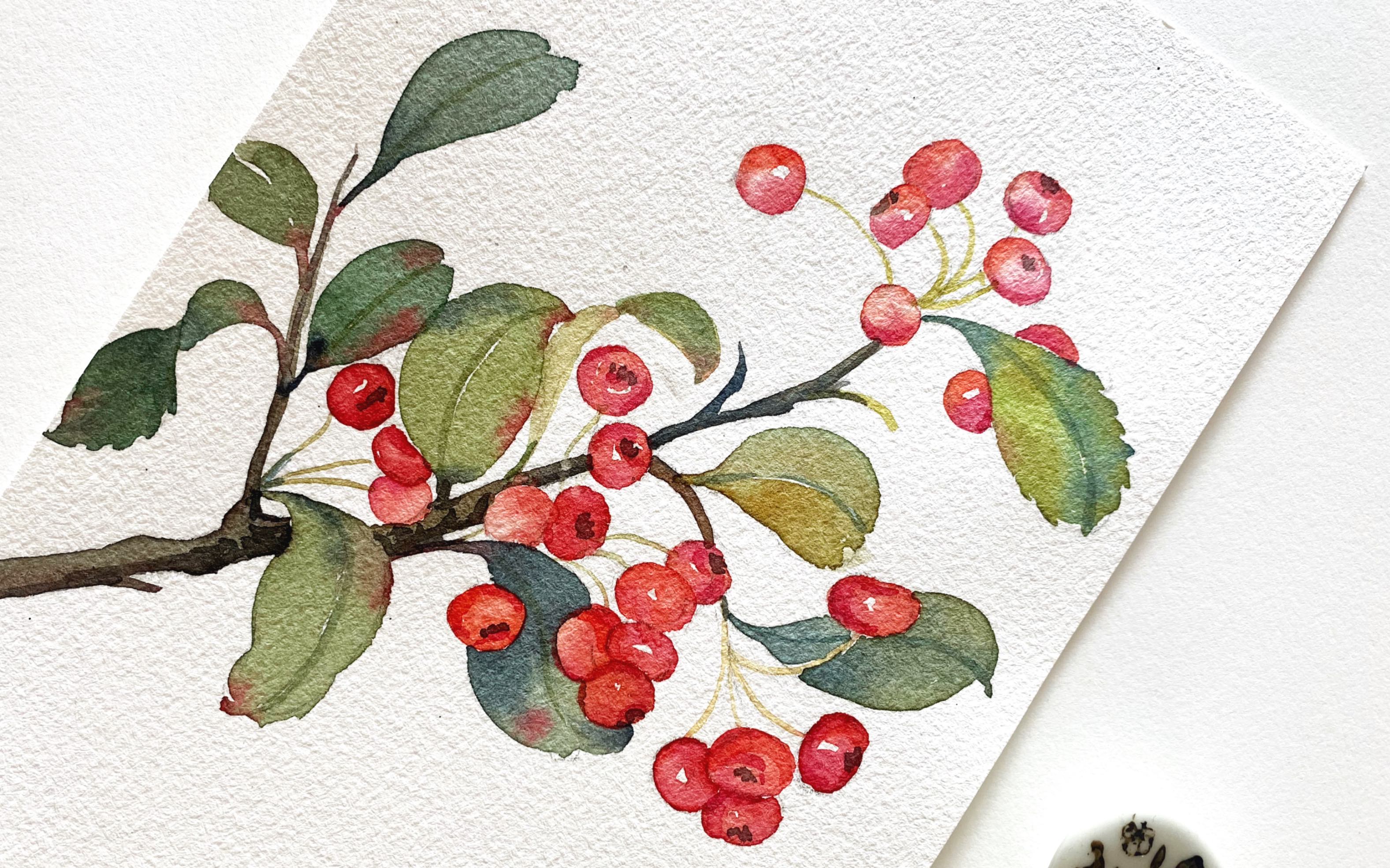 水彩入门教程|红果子