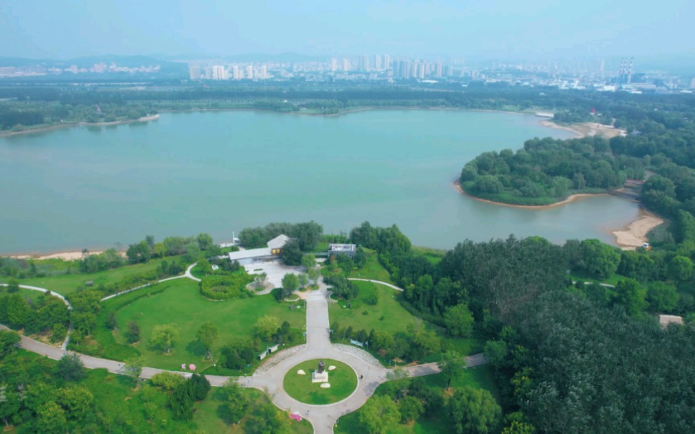 山東(平陰)黃河玫瑰湖生態溼地公園美景全貌.