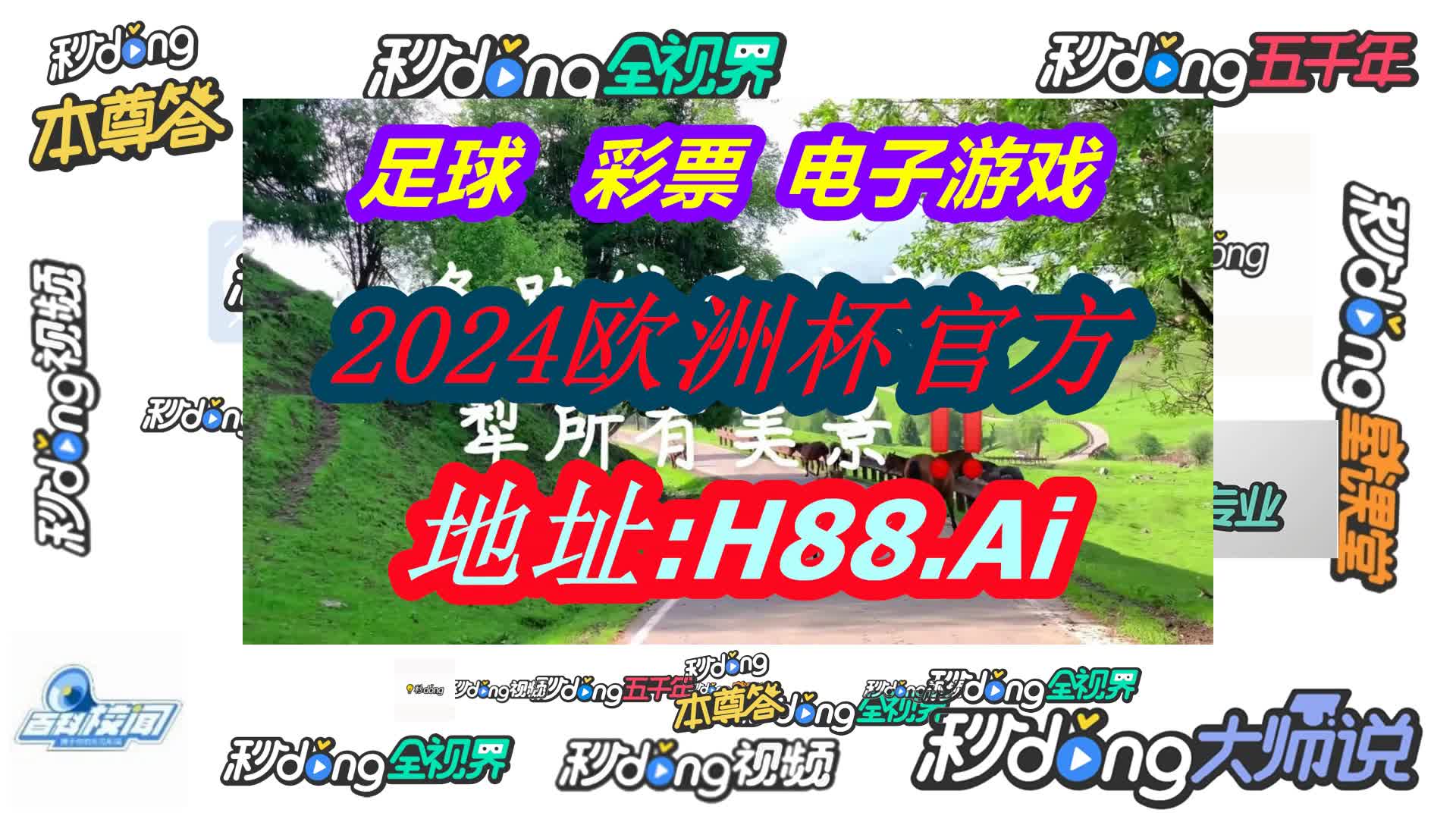 2024澳门资料大全正版资料免费(哔哩哔哩)288期