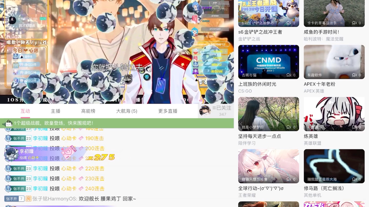 11月11日张子铭直播哔哩哔哩bilibili