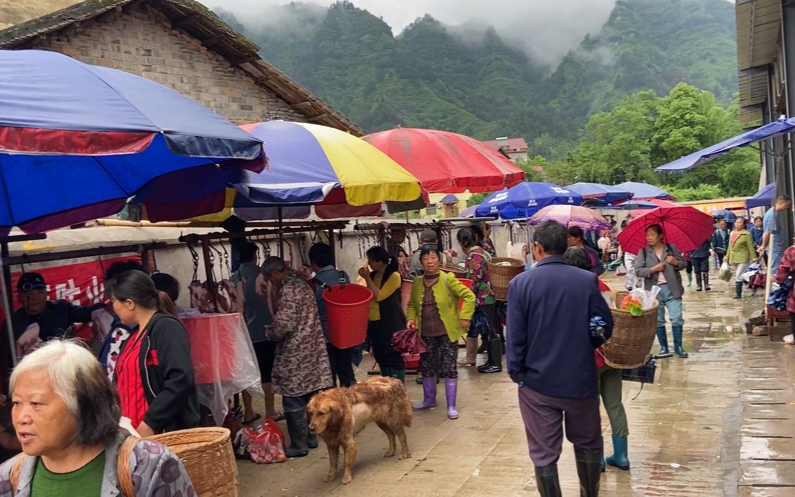 农村猪肉12块一斤村民排队购买9点猪肉卖光了