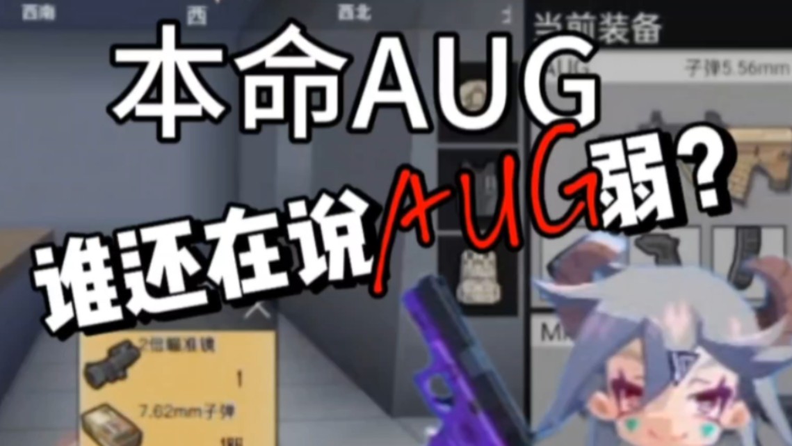 迷你攻势:本命aug很弱?拿下15淘汰!