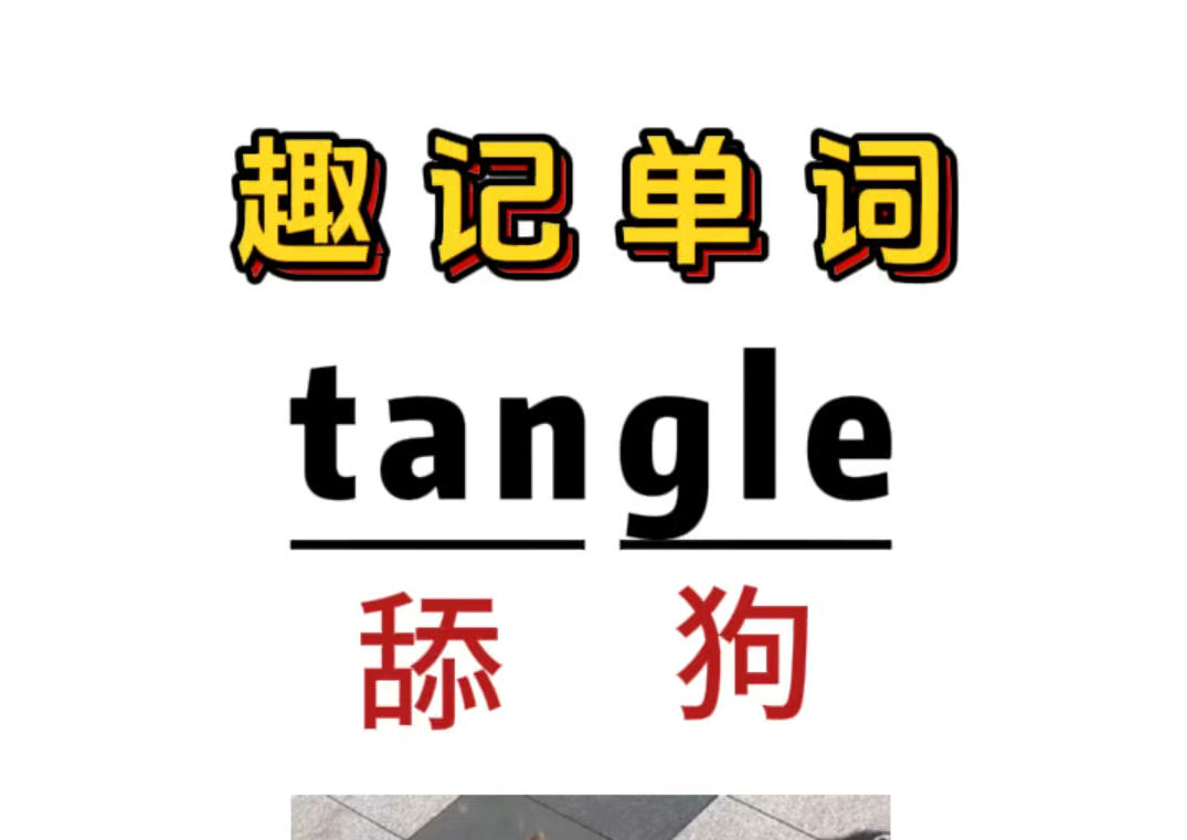 趣味记单词:“tangle” 舔狗?哔哩哔哩bilibili