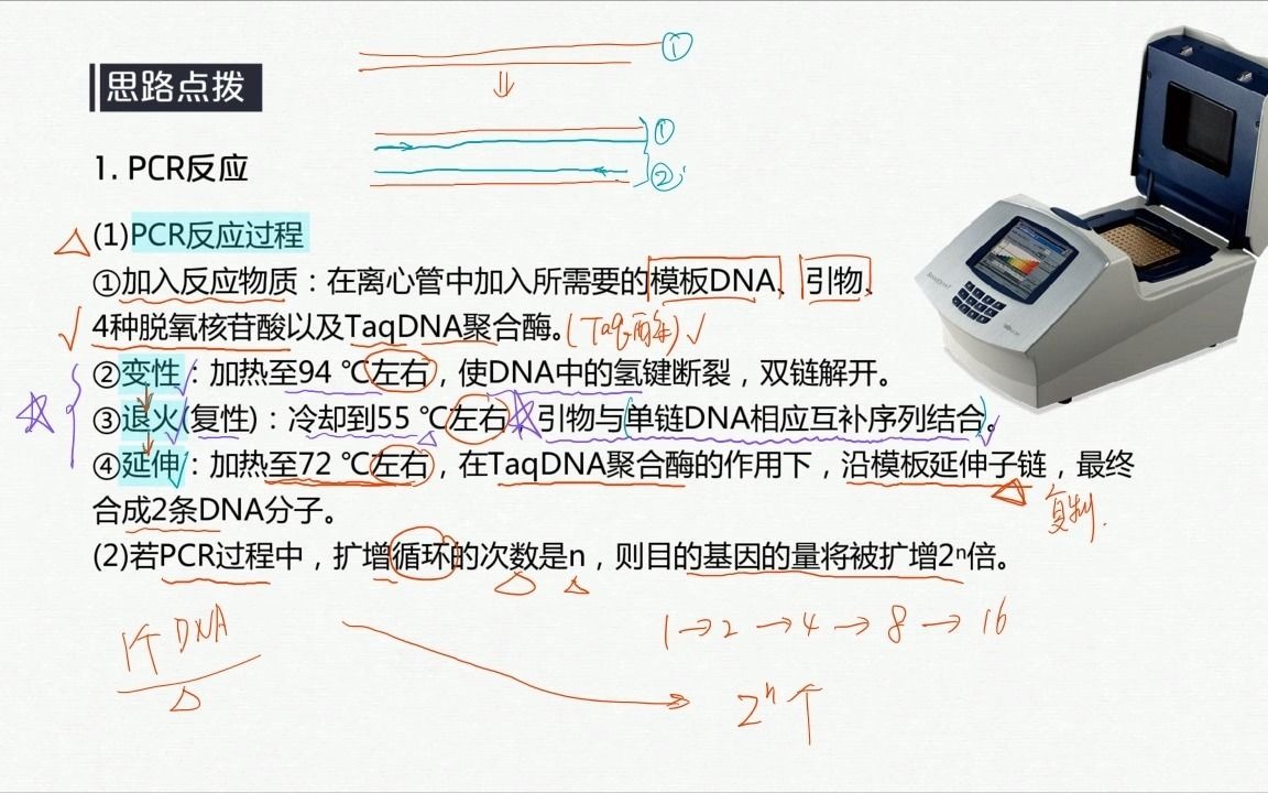 PCR的反应过程及应用哔哩哔哩bilibili