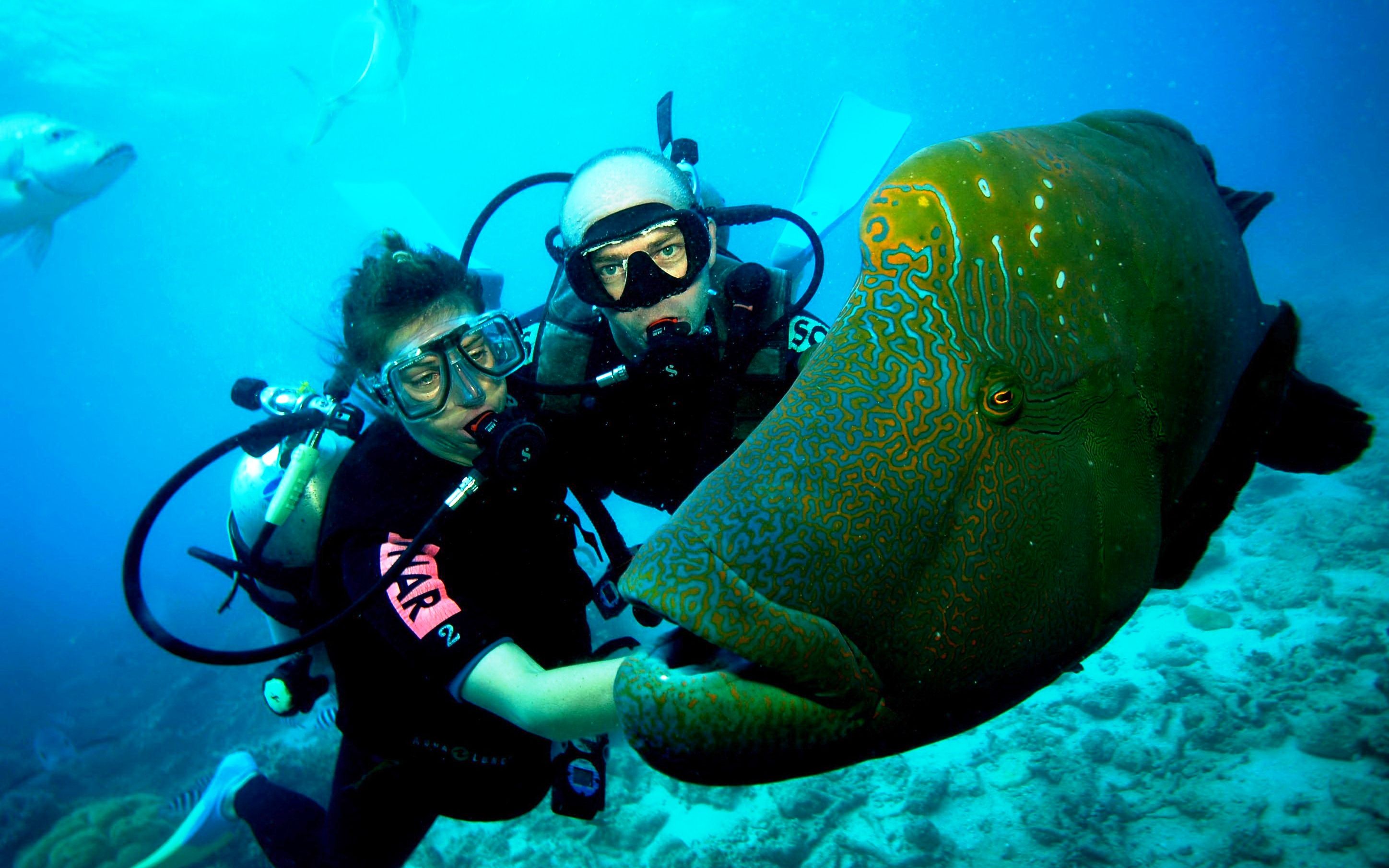 泰国人争相学中文,教你普吉岛潜水秘籍@孤独旅行家_哔哩哔哩 (゜-゜)