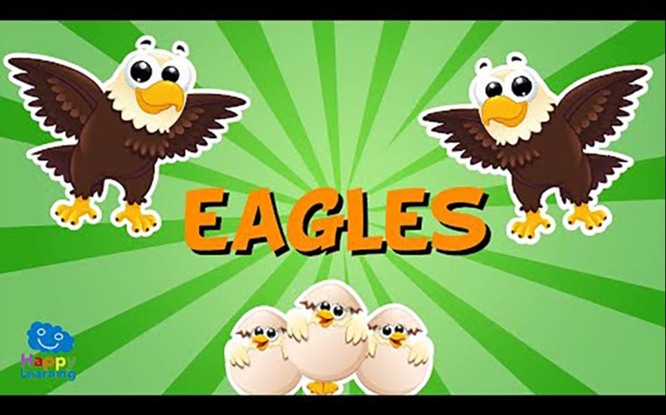 [图]EAGLES _ Educational Videos for Kids