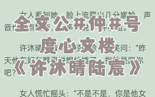 《许沐晴陆宸》又名陆宸许沐晴小说完整合集全文2023年已更新全章节哔哩哔哩bilibili