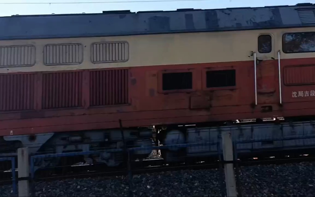 东风4d花老虎内燃机车2023/10/21