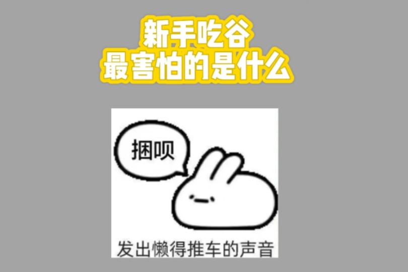 新手吃谷最害怕的是什么哔哩哔哩bilibili