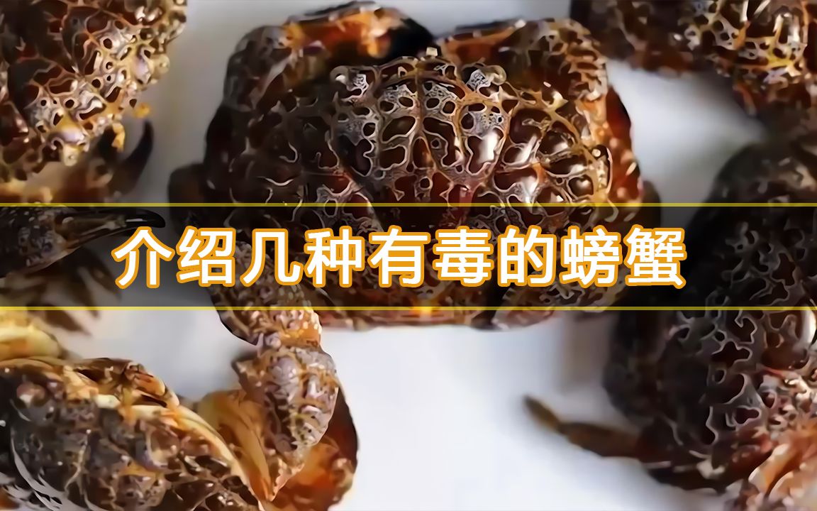 十大毒蟹中国图片